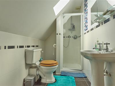 Picture 7
